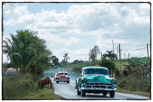 Americaine dans la campagne de Vinales