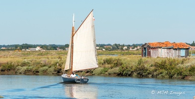 2016-09-03 Remontée de la Seudre- Samedi Arrivée Mornac