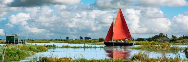 Bateau entrant dans le Chenal de Mornac-2