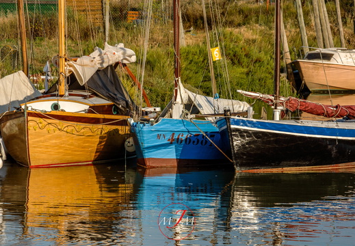 Reflets du Petit Matin