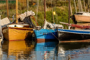 Reflets du Petit Matin