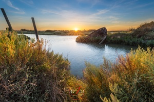 Sunset sur Pleurdonnier