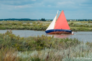  DSC5556