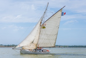 2018-09-09 Remontée de la Seudre 2018