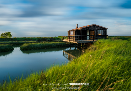  DSC8989-Modifier11-2018