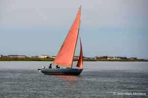  DSC6563