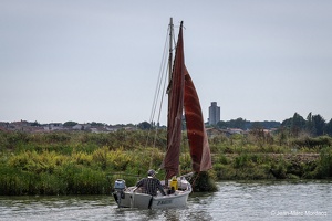  DSC3416