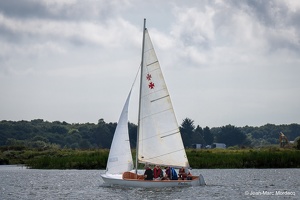  DSC3495