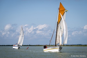  DSC3517