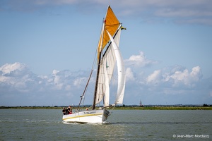  DSC3519
