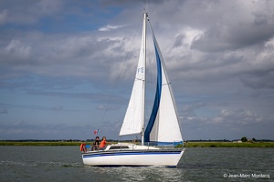  DSC3523