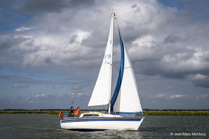  DSC3524
