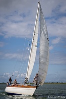  DSC3528