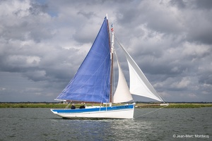  DSC3533