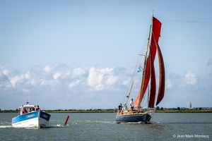  DSC3535