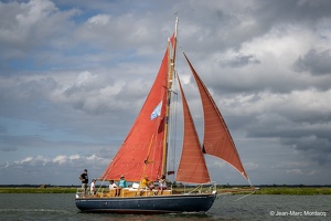  DSC3538