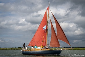  DSC3539