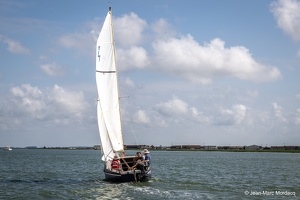  DSC3541