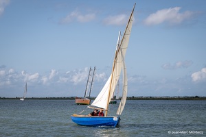  DSC3544
