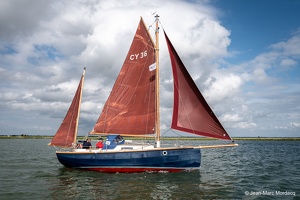Z62 4129