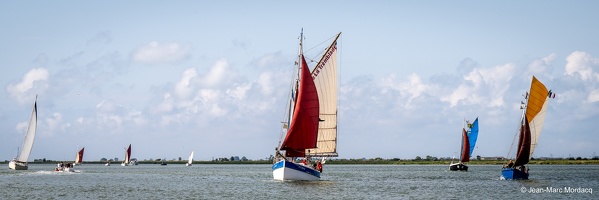  DSC3550
