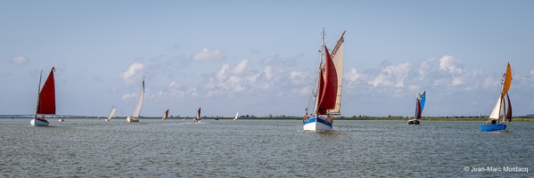  DSC3552