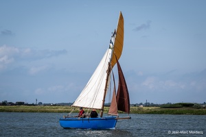  DSC3553