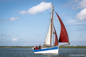  DSC3554