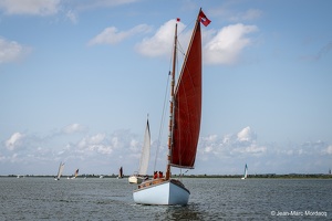  DSC3558