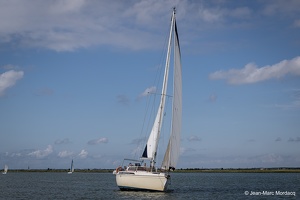  DSC3559