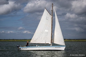  DSC3560