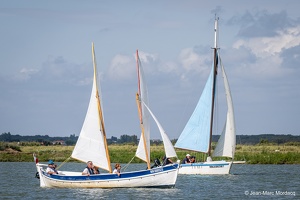  DSC3561