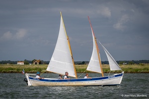  DSC3562
