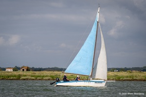  DSC3564