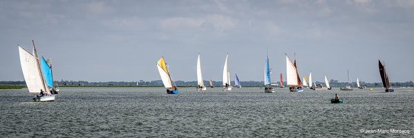  DSC3567