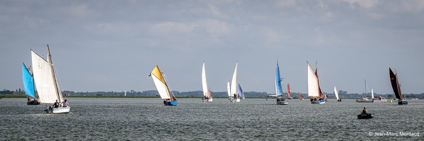  DSC3568