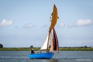  DSC3581