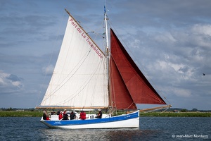  DSC3585