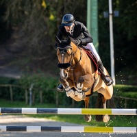  DSC9324-Avec accentuation-Bruit