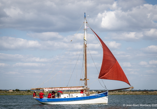  DSC2733