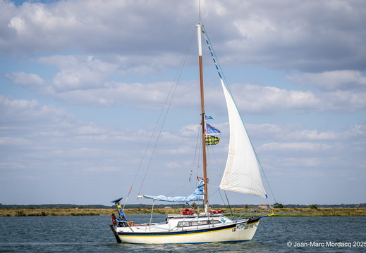  DSC2734
