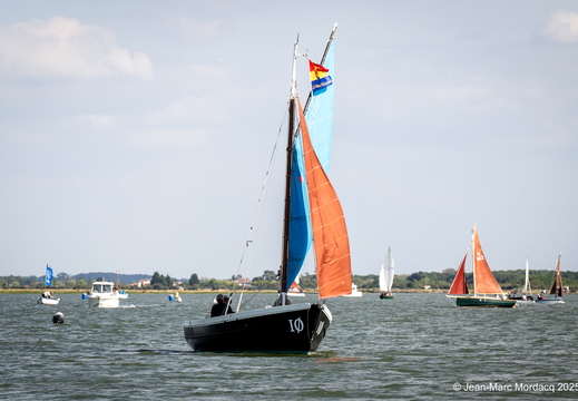  DSC2768