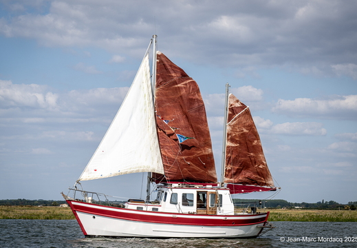  DSC2776