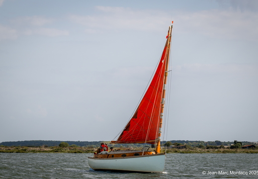  DSC2775