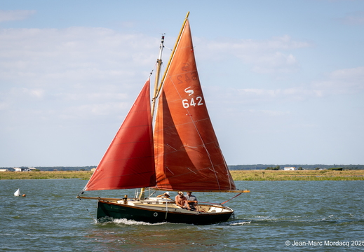  DSC2808
