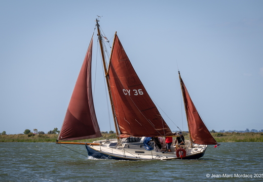 DSC2822