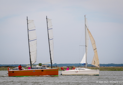  DSC2889