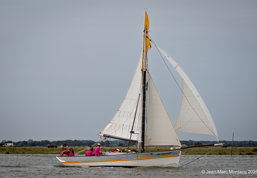  DSC2893