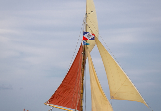  DSC2907