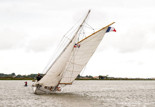  Z364527
